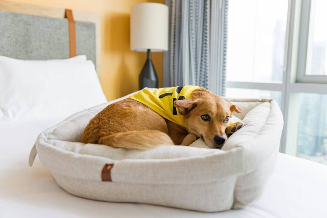 1122 Madison St in Seattle, WA - Foto de edificio