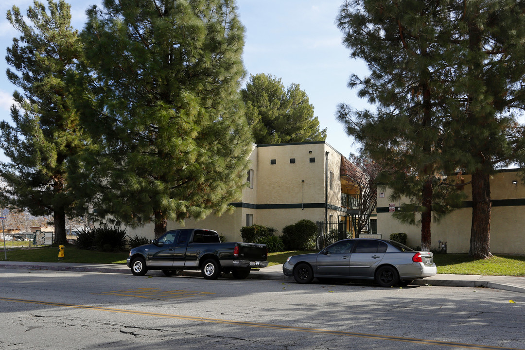 Pine Tree Apartments in San Jacinto, CA - Building Photo