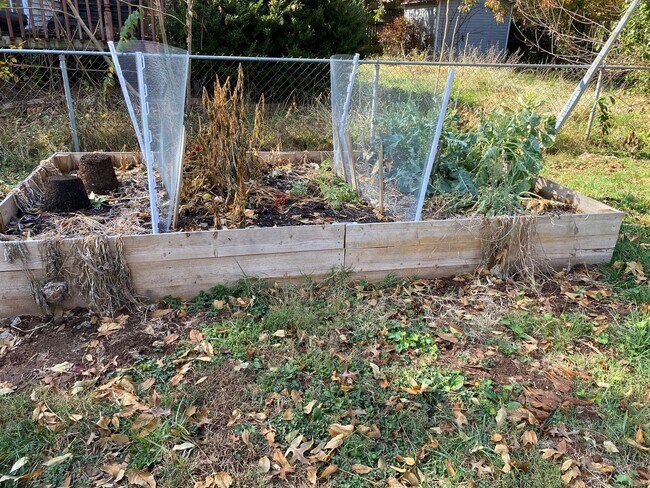 537 E Edgewood St in Springfield, MO - Building Photo - Building Photo