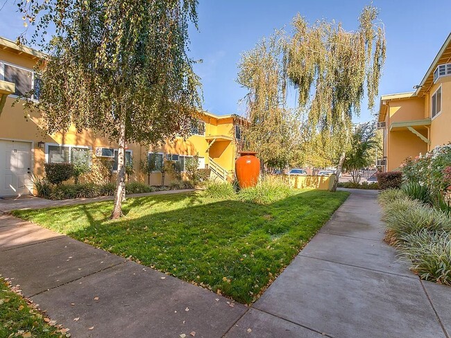 Birchwood Meadows in Sacramento, CA - Foto de edificio - Building Photo