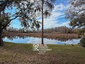 2047 Park Crescent Dr in Land O Lakes, FL - Building Photo - Building Photo