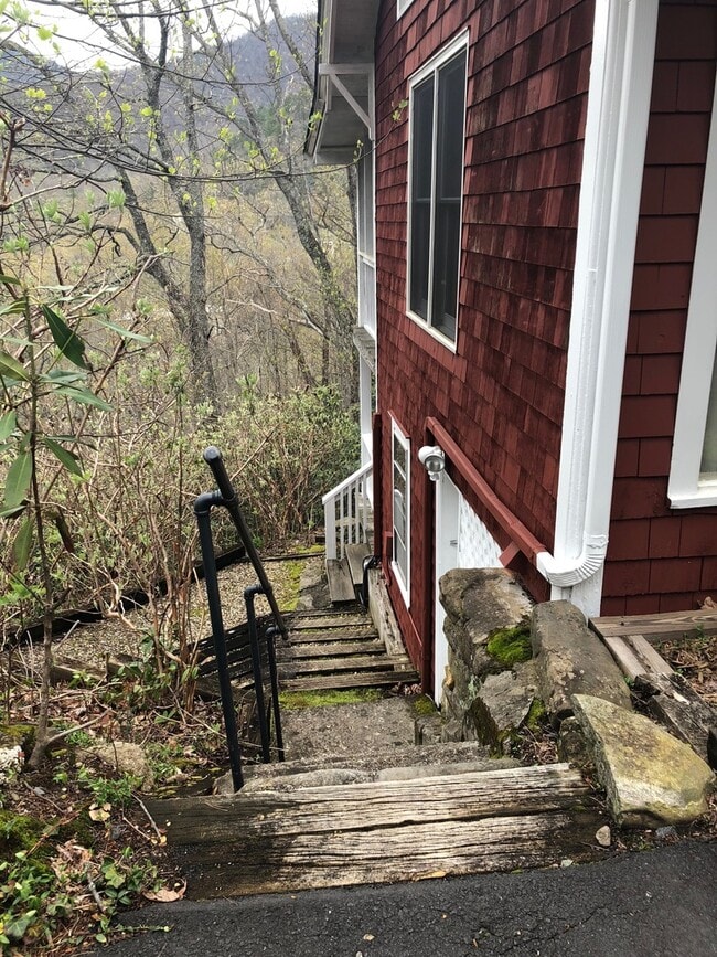 307 Chapman Rd in Montreat, NC - Building Photo - Building Photo