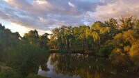1310 Hollow Rd - 6