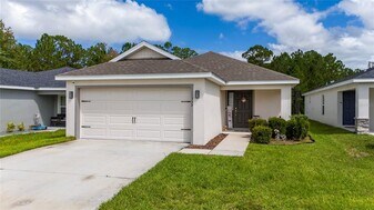355 Lily Ln in Davenport, FL - Building Photo