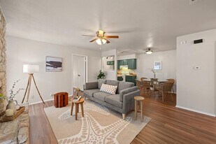 703 Country Aire Dr in Round Rock, TX - Building Photo