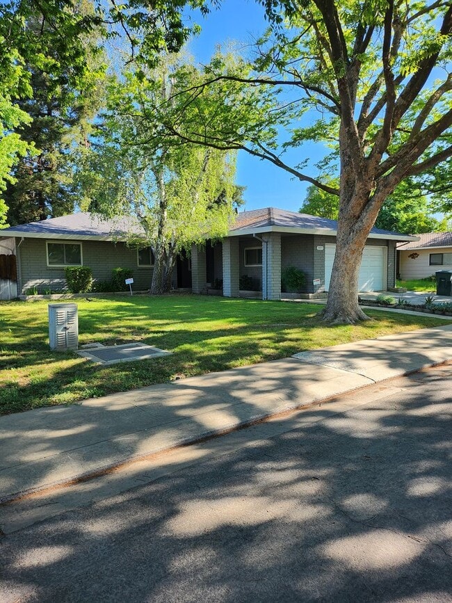 809 Lindsay Dr in Modesto, CA - Building Photo - Building Photo