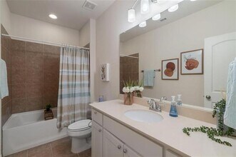 2233 Caniesto St in Plano, TX - Building Photo - Building Photo