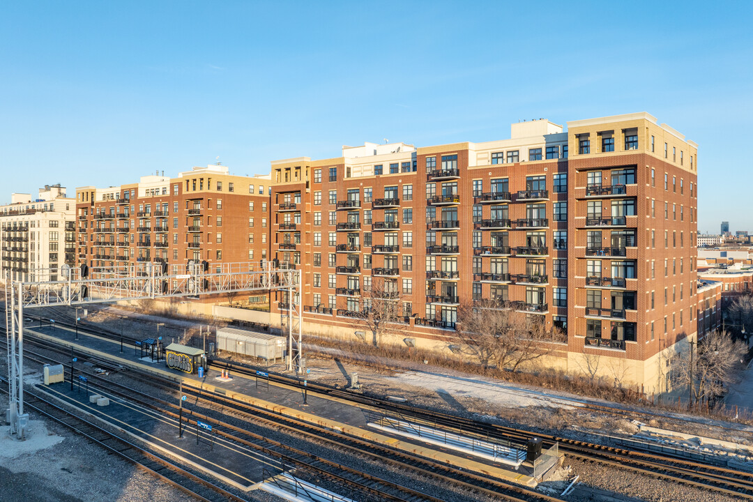 815-833 W 15th Pl in Chicago, IL - Building Photo