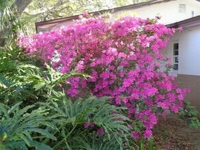 799 E 10th Ave in New Smyrna Beach, FL - Building Photo - Building Photo