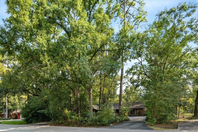 1031 Ridgeley Dr in Houston, TX - Building Photo - Building Photo