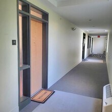 1501 Doyle Carlton Dr in Tampa, FL - Foto de edificio - Building Photo