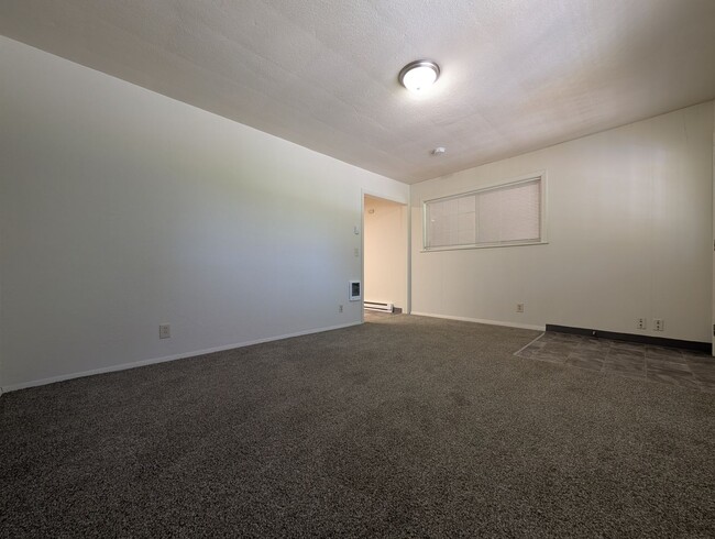 property at 3878 Vitus Lane