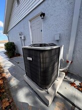 7924 Halsey Dr in Port Richey, FL - Foto de edificio - Building Photo