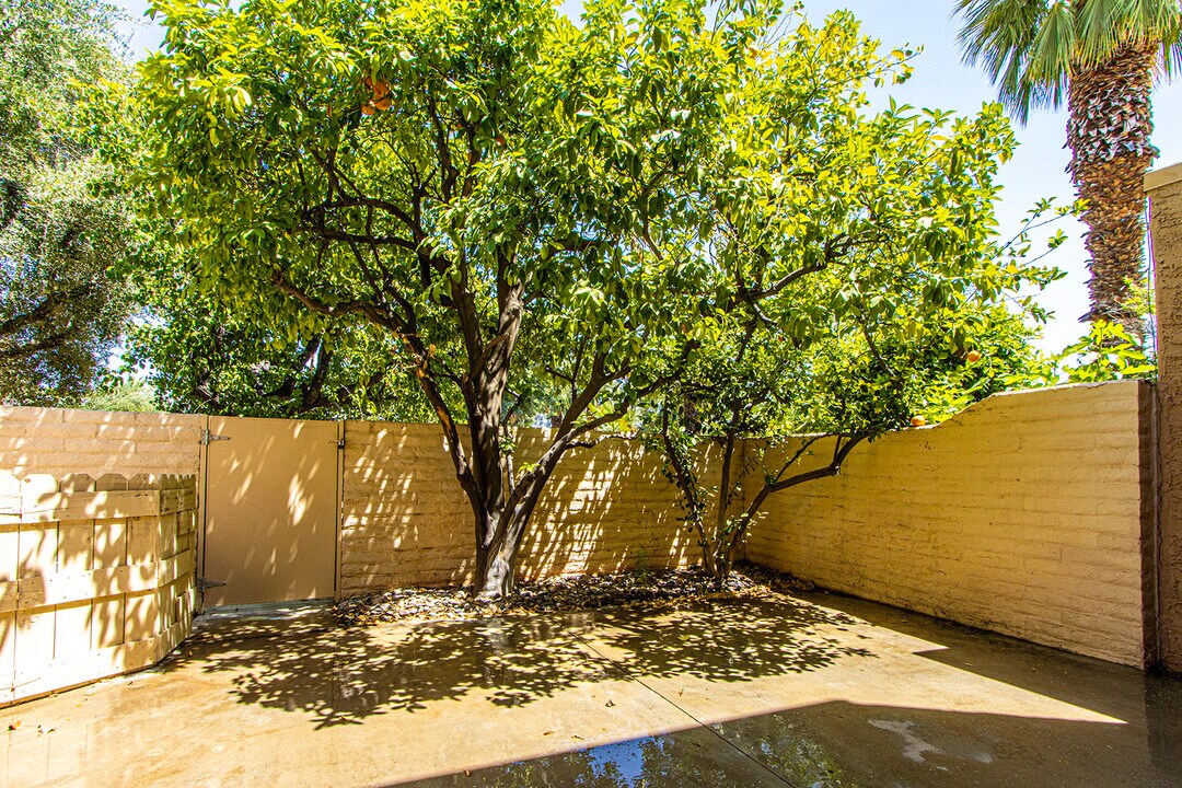 5884 Los Santos Dr in Palm Springs, CA - Building Photo