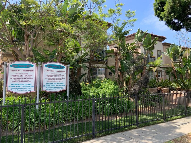 12504 Venice Blvd., Unit 203