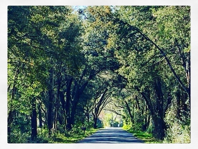 9350 SE 170th Avenue Rd in Ocklawaha, FL - Building Photo - Building Photo