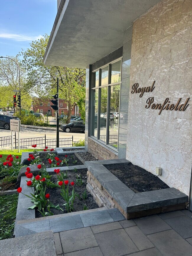 Royal Penfield