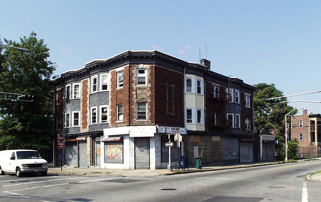 163 N Park St in East Orange, NJ - Building Photo