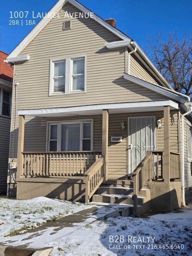 1007 Laurel Ave in Akron, OH - Building Photo - Building Photo