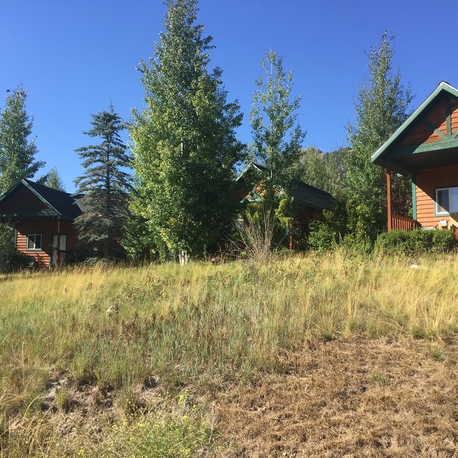 Old West Cabins Residences in Jackson, WY - Building Photo - Other