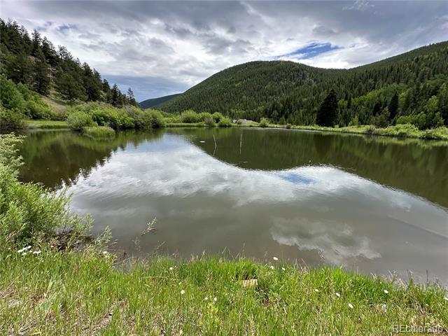 1054 W Chicago Creek Rd in Idaho Springs, CO - Building Photo