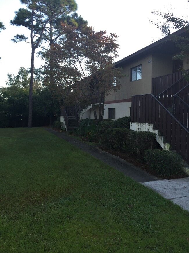 property at 4317 Holly Tree Rd