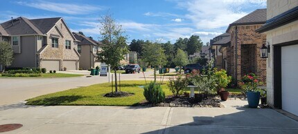 307 N Spotted Fern Dr in Montgomery, TX - Building Photo - Building Photo
