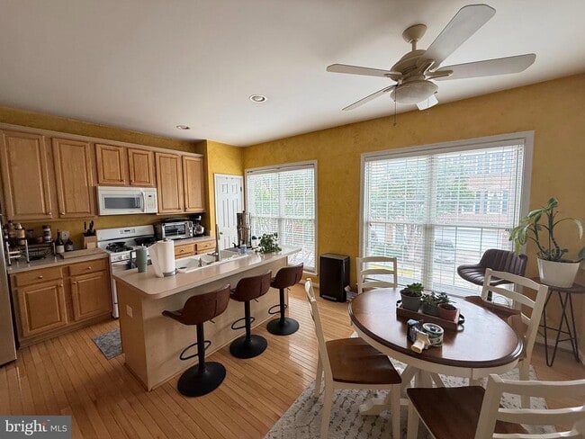 13133 Rose Petal Cir in Herndon, VA - Building Photo - Building Photo