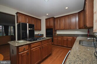 14876 Cartagena Dr in Gainesville, VA - Building Photo - Building Photo