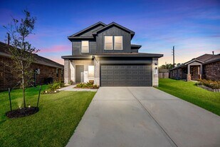 23815 Desert Brush Ct in Spring, TX - Building Photo