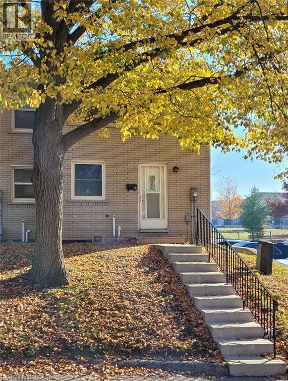 273 Elgin St in Brantford, ON - Building Photo - Building Photo