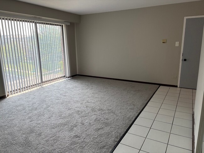 16622 Theresa Ln in Tinley Park, IL - Building Photo - Building Photo