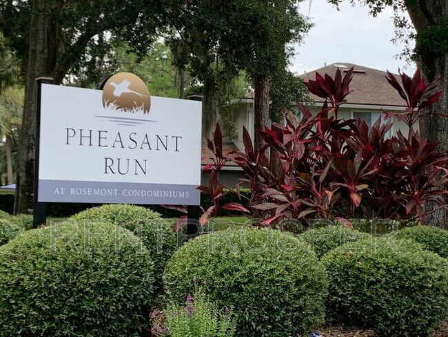 4693 Pheasant Run Dr in Orlando, FL - Building Photo - Building Photo