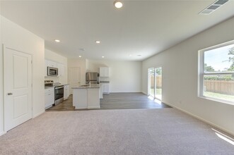 10207 Purple Daphne Ln in Houston, TX - Building Photo - Building Photo