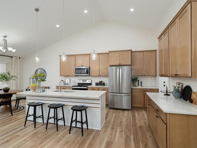15110 Eileen Cir in Burnsville, MN - Building Photo - Building Photo