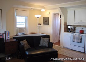 9 Cedar St, Unit 3 in Cambridge, MA - Building Photo