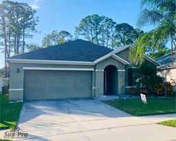 2704 Star Coral Ln in New Smyrna Beach, FL - Building Photo