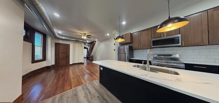 219 Manheim St in Philadelphia, PA - Building Photo - Building Photo