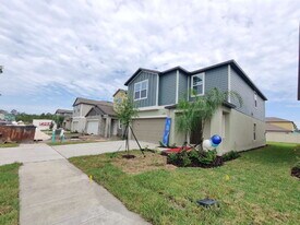 22279 Storybook Cabin Wy in Land O Lakes, FL - Building Photo