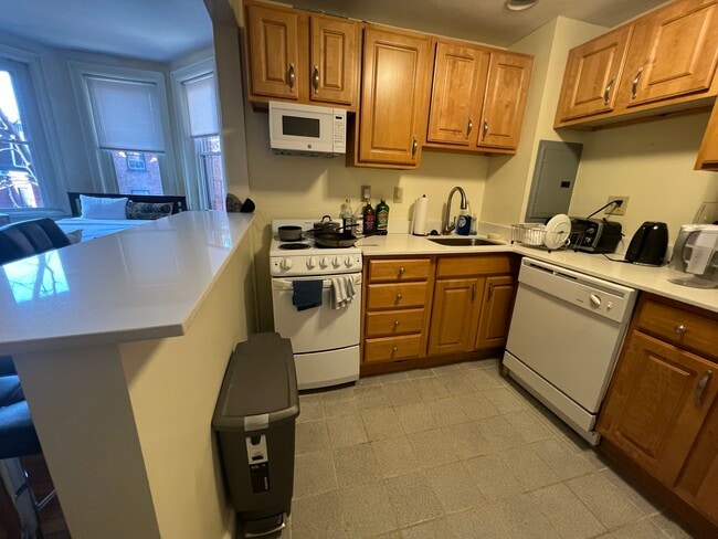 343 Commonwealth Ave, Unit 7