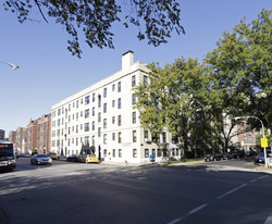 Pine Grove Court Condominiums in Chicago, IL - Building Photo - Building Photo