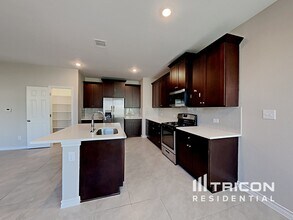 283 Silktassel Way in Buda, TX - Building Photo - Building Photo