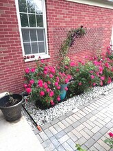 209 S Pleasant Rd in Lake Zurich, IL - Building Photo - Building Photo