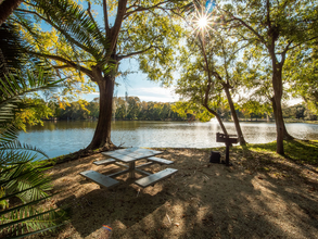 Grande Oasis at Carrollwood in Tampa, FL - Foto de edificio - Building Photo