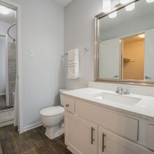 Lakebridge Townhomes in Houston, TX - Building Photo - Building Photo
