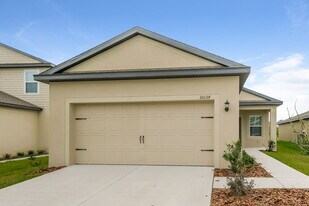 30134 Fedora Cir in Brooksville, FL - Building Photo