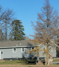 307 Dove St NE in Minnesota Lake, MN - Foto de edificio - Building Photo