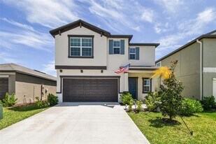 9988 Branching Ship Trce in Wesley Chapel, FL - Building Photo