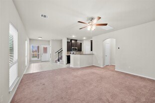 13427 Hawick Terrace Ln in Houston, TX - Building Photo