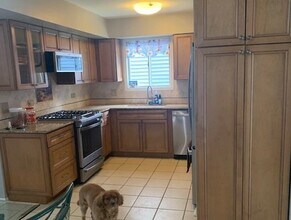 880 Springhill Cir in Naperville, IL - Building Photo - Building Photo